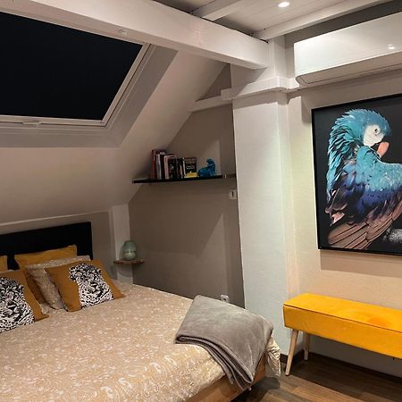 Charmant Duplex Privatise, Climatise, 2 Chambres Strasbourg Exterior foto