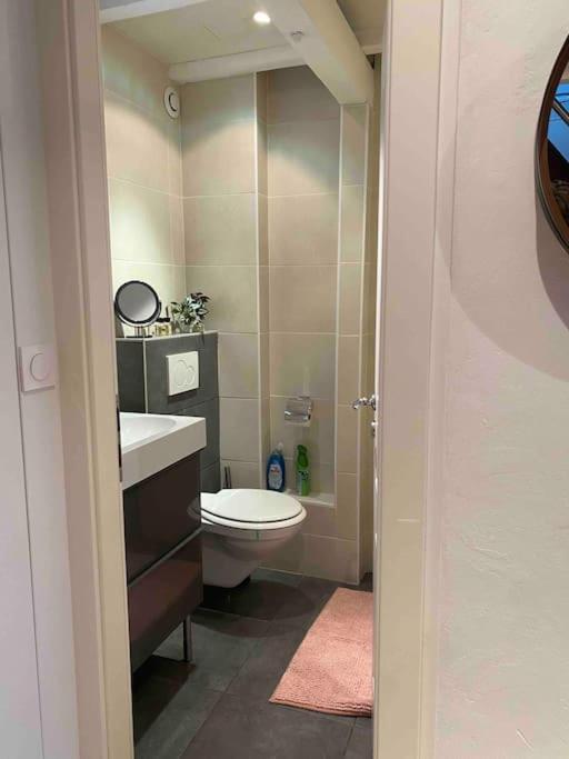 Charmant Duplex Privatise, Climatise, 2 Chambres Strasbourg Exterior foto