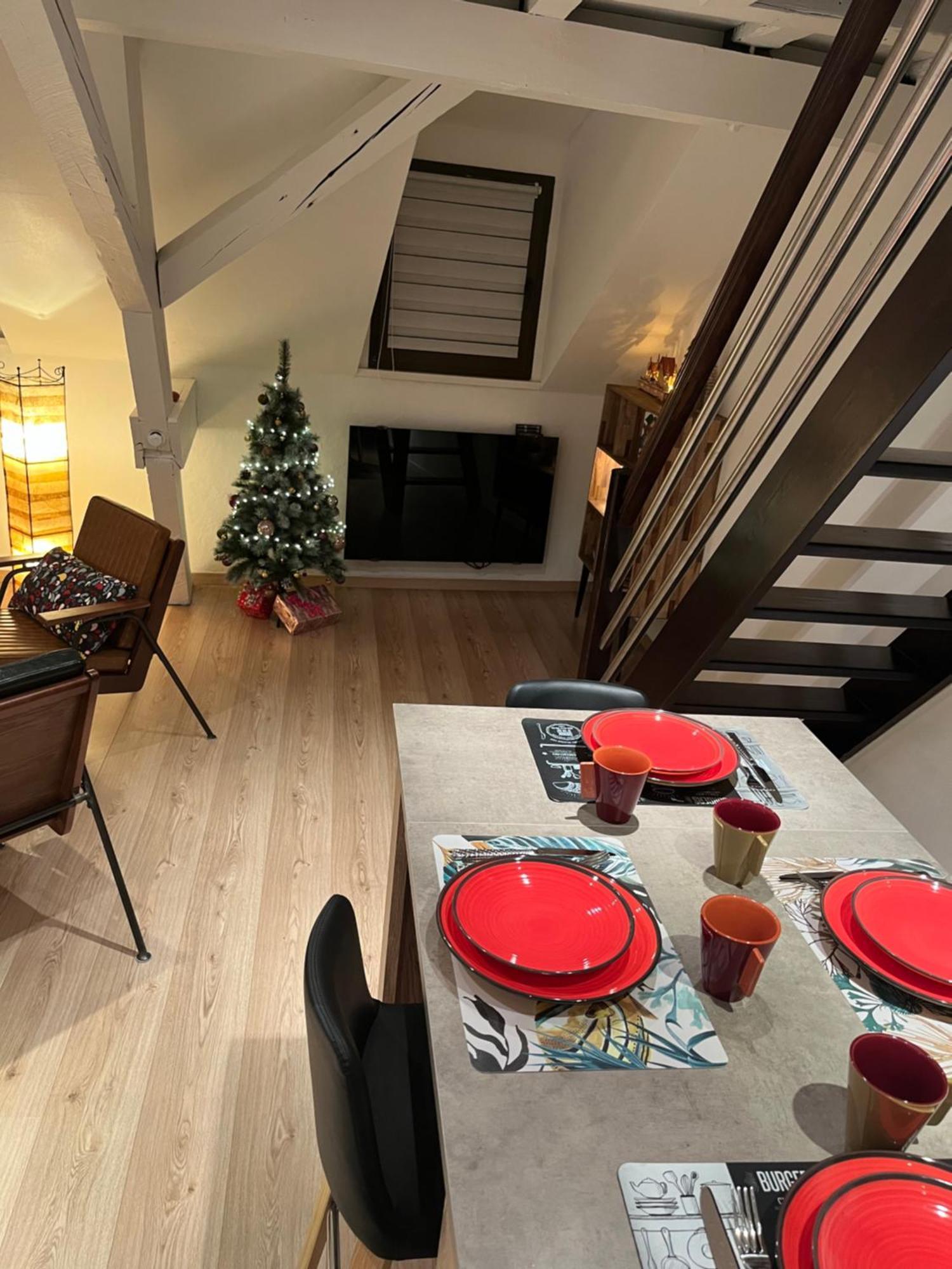 Charmant Duplex Privatise, Climatise, 2 Chambres Strasbourg Exterior foto
