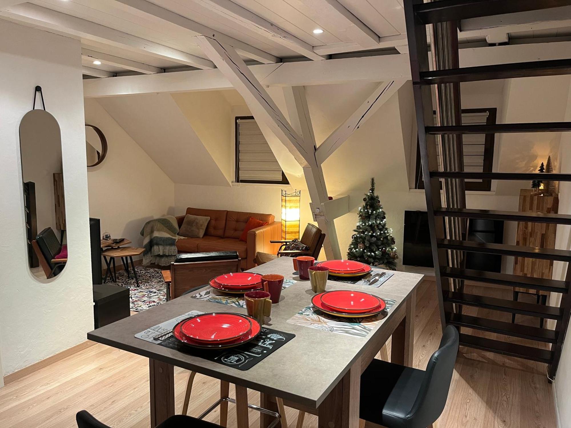 Charmant Duplex Privatise, Climatise, 2 Chambres Strasbourg Exterior foto