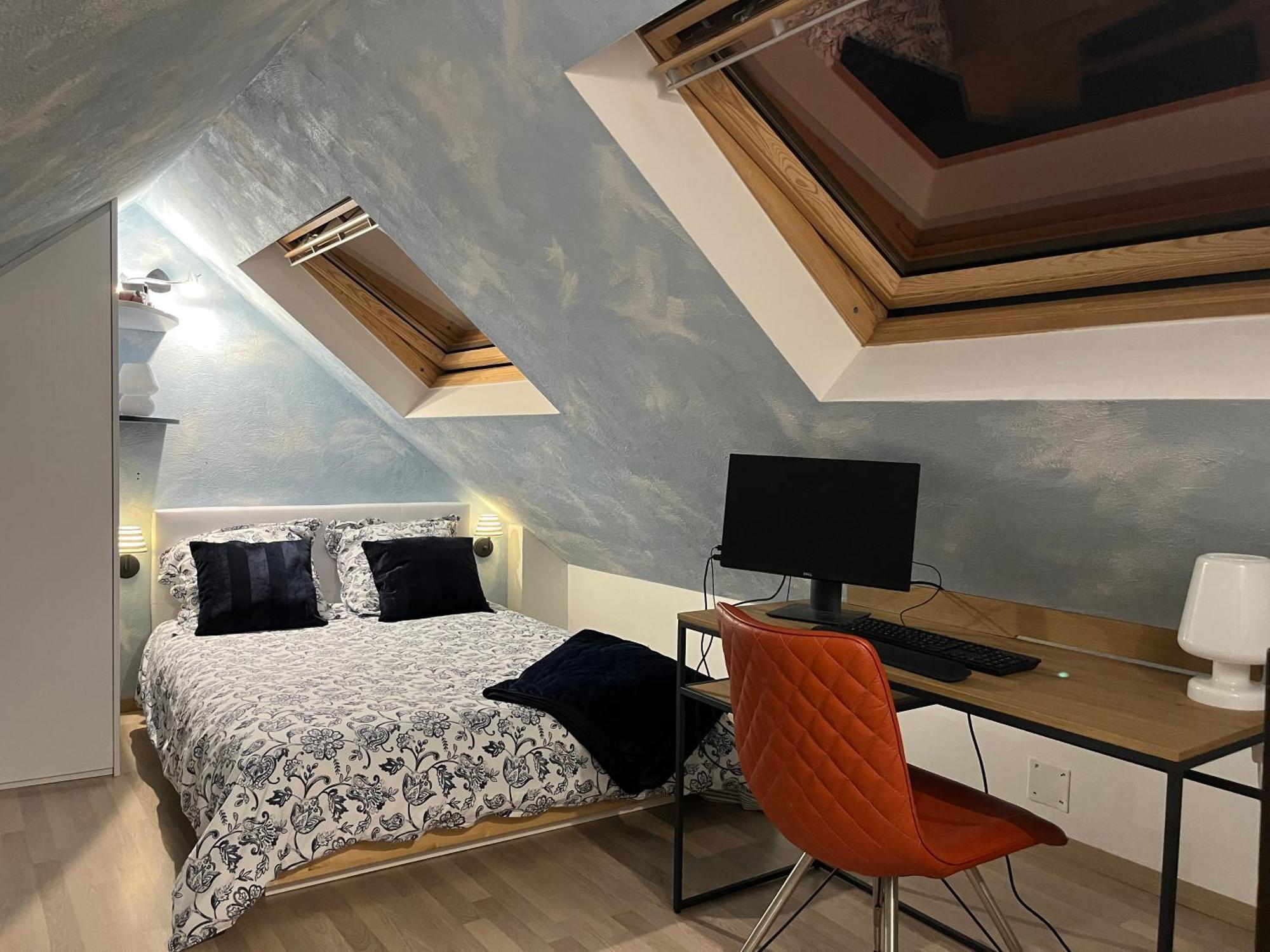 Charmant Duplex Privatise, Climatise, 2 Chambres Strasbourg Exterior foto